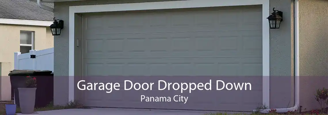 Garage Door Dropped Down Panama City