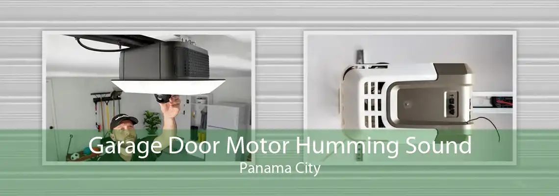 Garage Door Motor Humming Sound Panama City