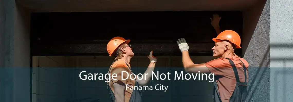 Garage Door Not Moving Panama City