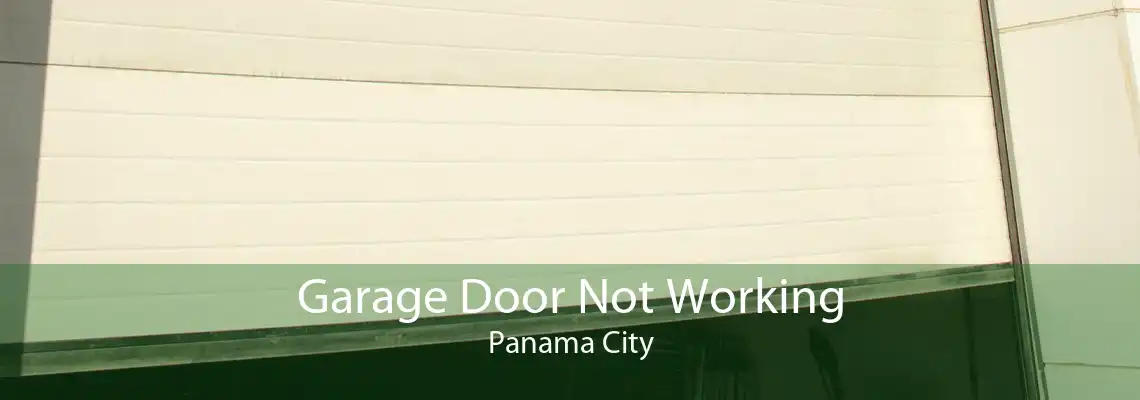 Garage Door Not Working Panama City