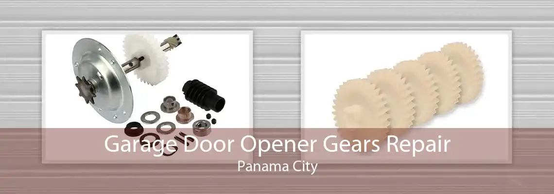 Garage Door Opener Gears Repair Panama City