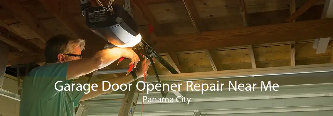 Garage Door Opener Repair Near Me Panama City