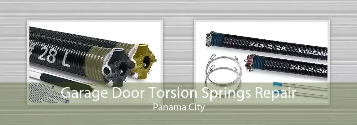 Garage Door Torsion Springs Repair Panama City