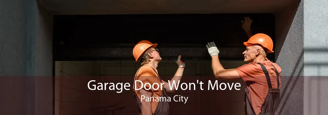 Garage Door Won't Move Panama City