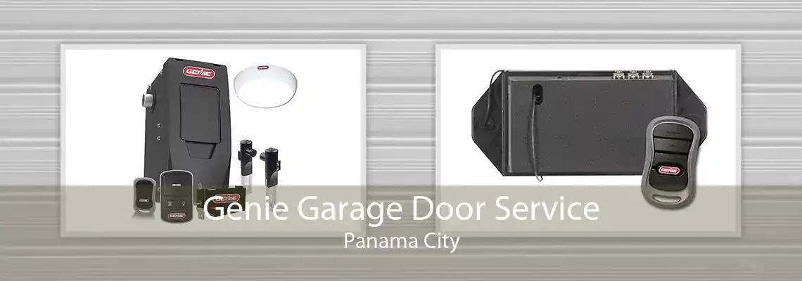 Genie Garage Door Service Panama City