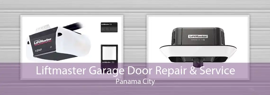 Liftmaster Garage Door Repair & Service Panama City