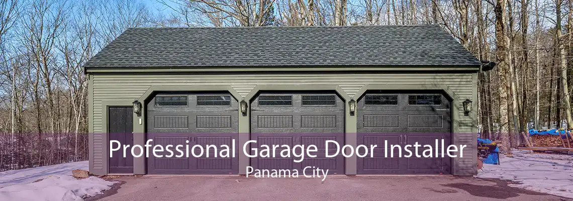 Professional Garage Door Installer Panama City